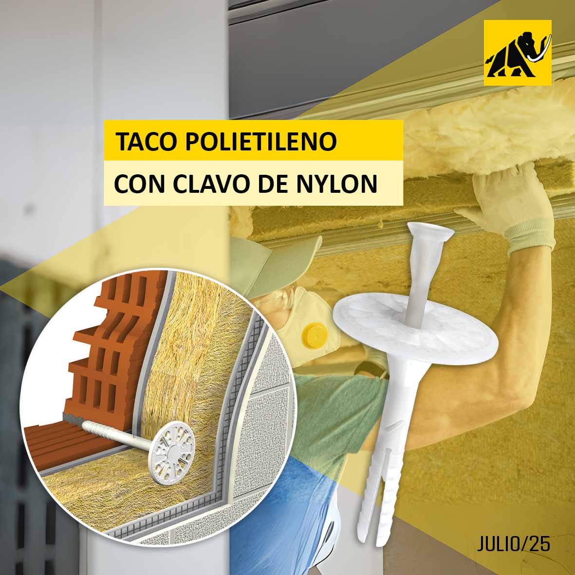 Publicación 2