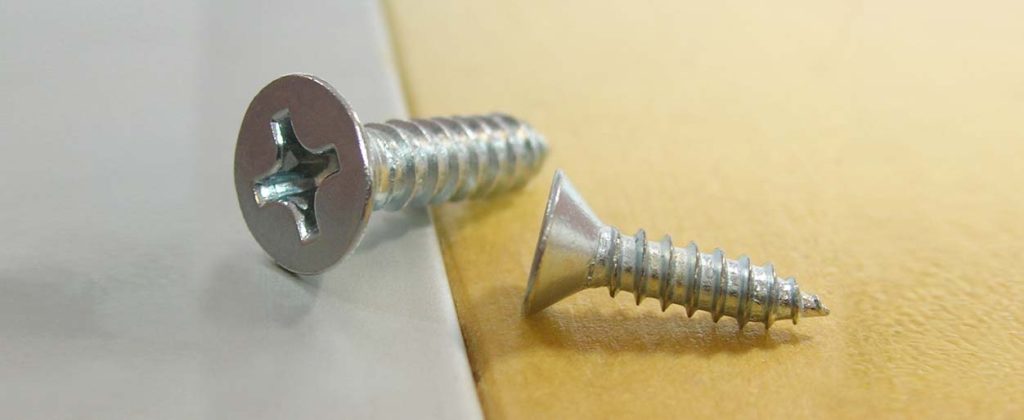 Cabeza Plana Phil. Inox.